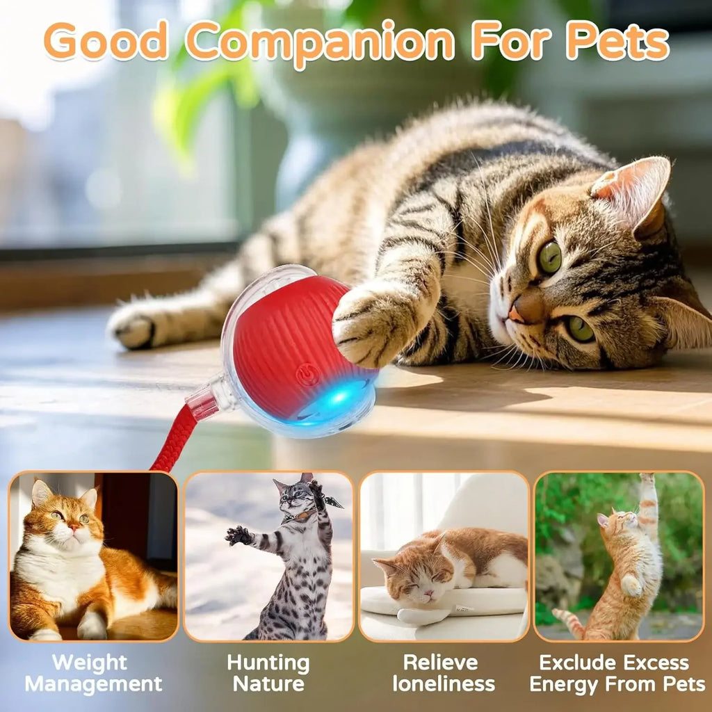 Interactive Automatic Rolling Cat Ball with Moving Tail – Rechargeable Smart Pet Toy