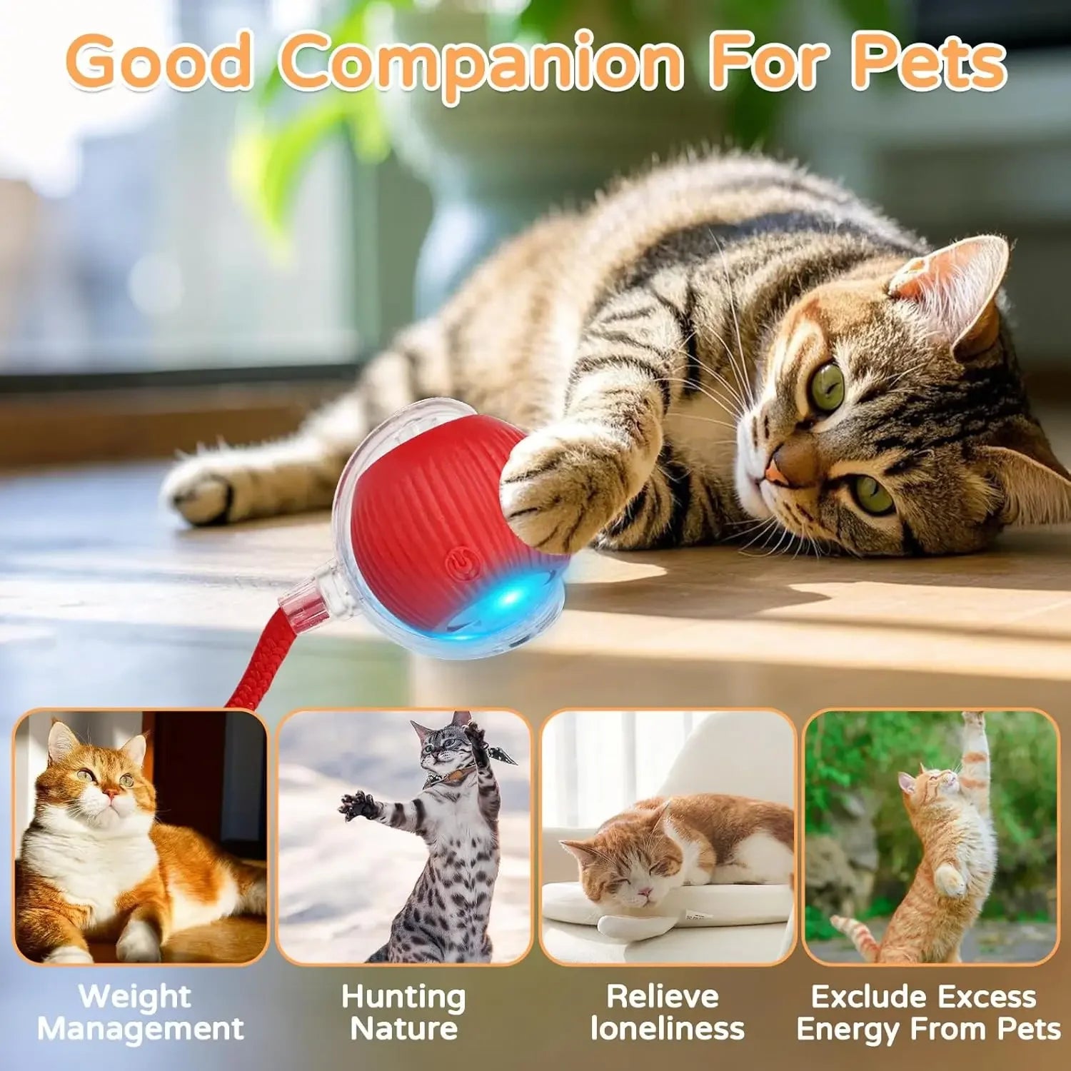Interactive Automatic Rolling Cat Ball with Moving Tail – Rechargeable Smart Pet Toy